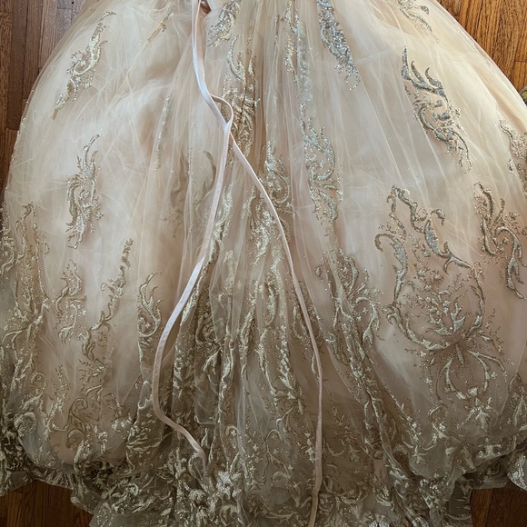 Prom Gown, Quinceañera Gown, Wedding Gown, Cosplay Gown or Ball Gown - Picture 2 of 14